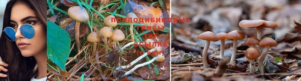 герыч Аркадак