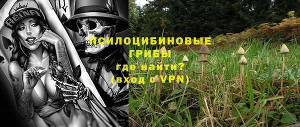 кокс Алексин