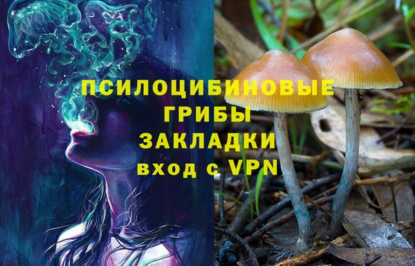 хмурый Алзамай