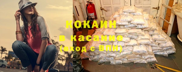дмт Арсеньев