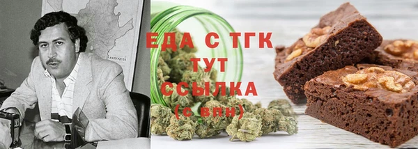 хмурый Алзамай