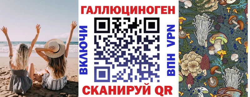 Псилоцибиновые грибы GOLDEN TEACHER купить сайты Кочубеевское